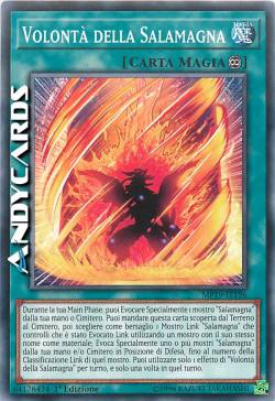 VOLONTÀ DELLA SALAMAGNA