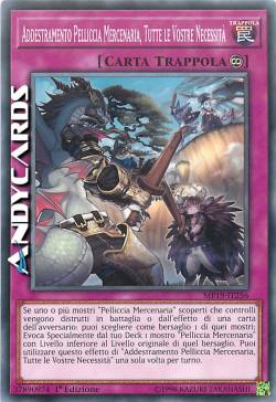 ADDESTRAMENTO PELLICCIA MERCENARIA, TUTTE LE VOSTRE NECESSITÀ