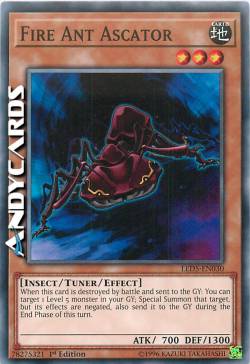 FORMICA DI FUOCO ASCATOR