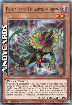 PREDAPIANTA CLAMIDOSUNDEW