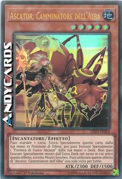 ASCATOR, CAMMINATORE DELL'ALBA