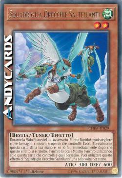 SQUADRIGLIA ORECCHIE SALTELLANTI