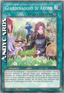 GIARDINAGGIO DI AROMI