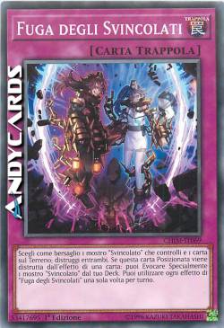 FUGA DEGLI SVINCOLATI