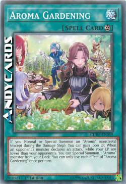 GIARDINAGGIO DI AROMI