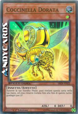 COCCINELLA DORATA