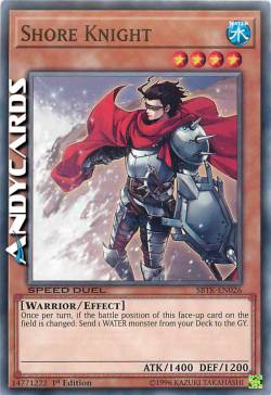 CAVALIERE DELLA COSTA