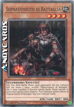 SOPRAVVISSUTO DI BATTAGLIA