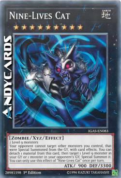 GATTO DALLE NOVE VITE