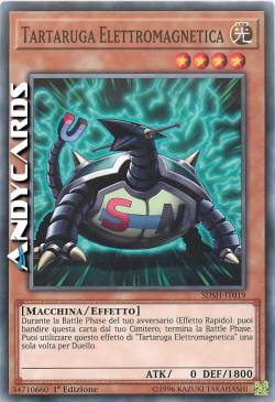 TARTARUGA ELETTROMAGNETICA