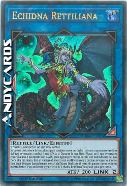ECHIDNA RETTILIANA