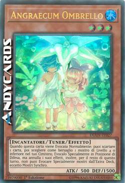 ANGRAECUM OMBRELLO