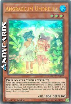 ANGRAECUM OMBRELLO