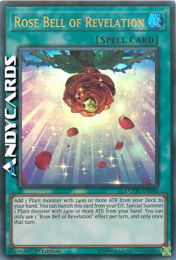 CAMPANA ROSA DELLA RIVELAZIONE