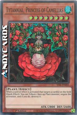 TYTANNIAL, PRINCIPESSA DELLE CAMELIE