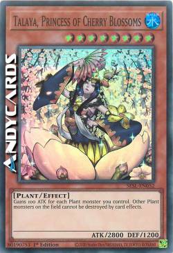 TALAYA, PRINCIPESSA DEI FIORI DI CILIEGIO