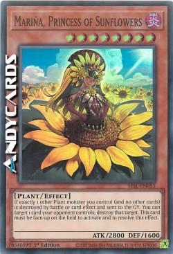 MARIÑA, PRINCIPESSA DEI GIRASOLI