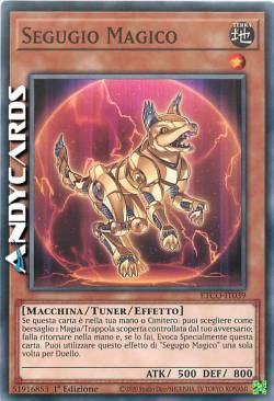 SEGUGIO MAGICO