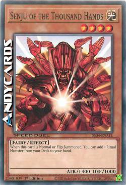 SENJU DALLE 1000 MANI