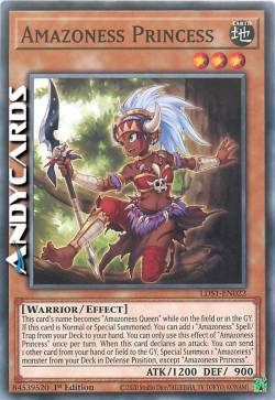 PRINCIPESSA AMAZONESS