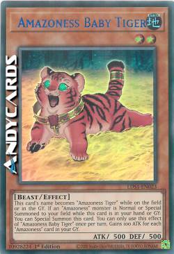AMAZONESS BABY TIGER