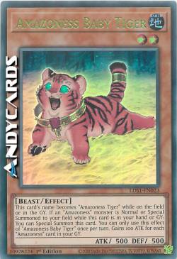 AMAZONESS BABY TIGER