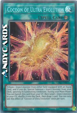 BOZZOLO DELL'ULTRA EVOLUZIONE