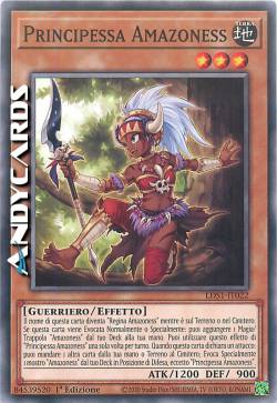 PRINCIPESSA AMAZONESS