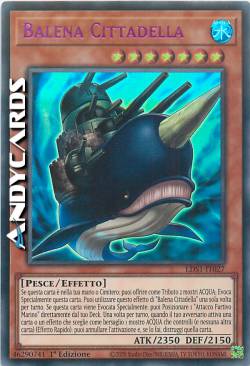BALENA CITTADELLA