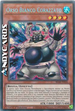 ORSO BIANCO CORAZZATO