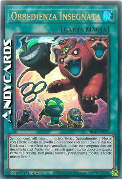 OBBEDIENZA INSEGNATA