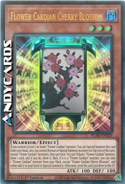 FIORE CARDIAN DI CILIEGIO