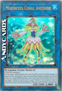 MARINCIPESSA ANEMONE CORALLO