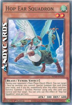 SQUADRIGLIA ORECCHIE SALTELLANTI