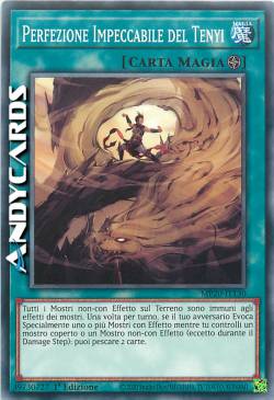 PERFEZIONE IMPECCABILE DEL TENYI