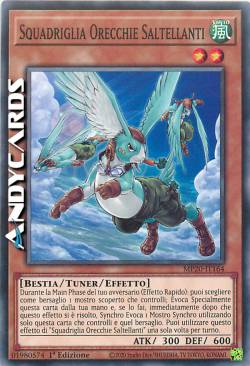 SQUADRIGLIA ORECCHIE SALTELLANTI