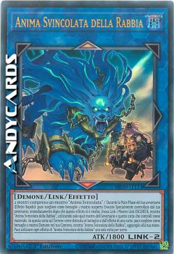 ANIMA SVINCOLATA DELLA RABBIA