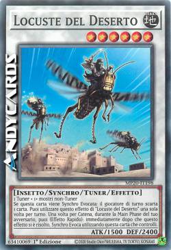 LOCUSTE DEL DESERTO