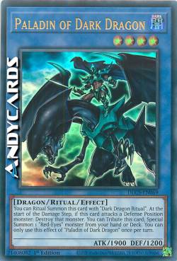 PALADINO DEL DRAGO NERO