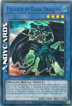 PALADINO DEL DRAGO NERO