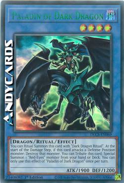 PALADINO DEL DRAGO NERO