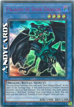 PALADINO DEL DRAGO NERO