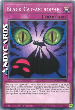 CATASTROFE DEL GATTO NERO