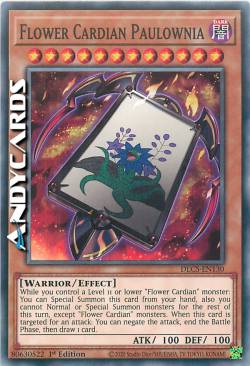 FIORE CARDIAN PAULOWNIA