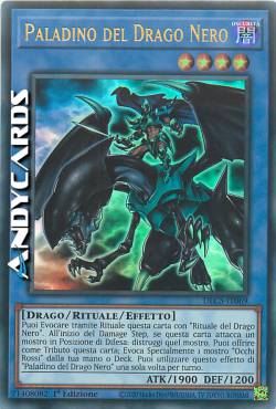 PALADIN OF DARK DRAGON