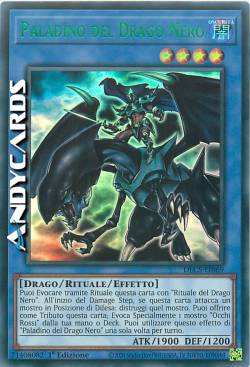 PALADINO DEL DRAGO NERO