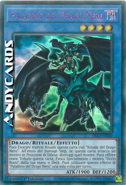 PALADINO DEL DRAGO NERO