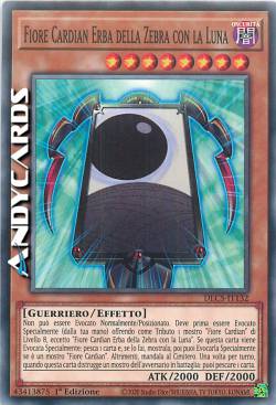 FLOWER CARDIAN ZEBRA GRASS WITH MOON