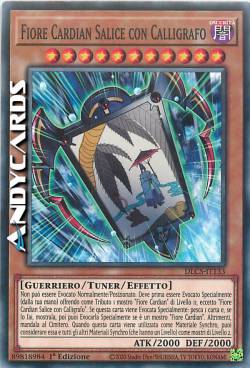 FIORE CARDIAN SALICE CON CALLIGRAFO