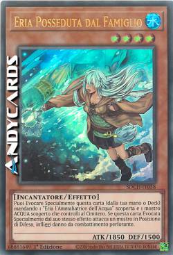 ERIA POSSEDUTA DAL FAMIGLIO